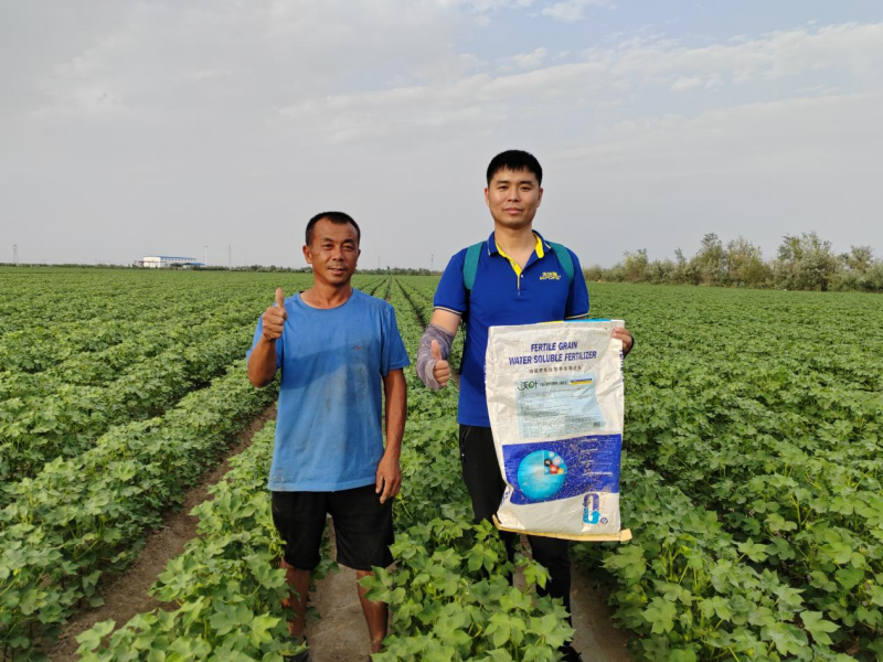 水溶肥—沃葉水溶肥用戶(hù)見(jiàn)證.png